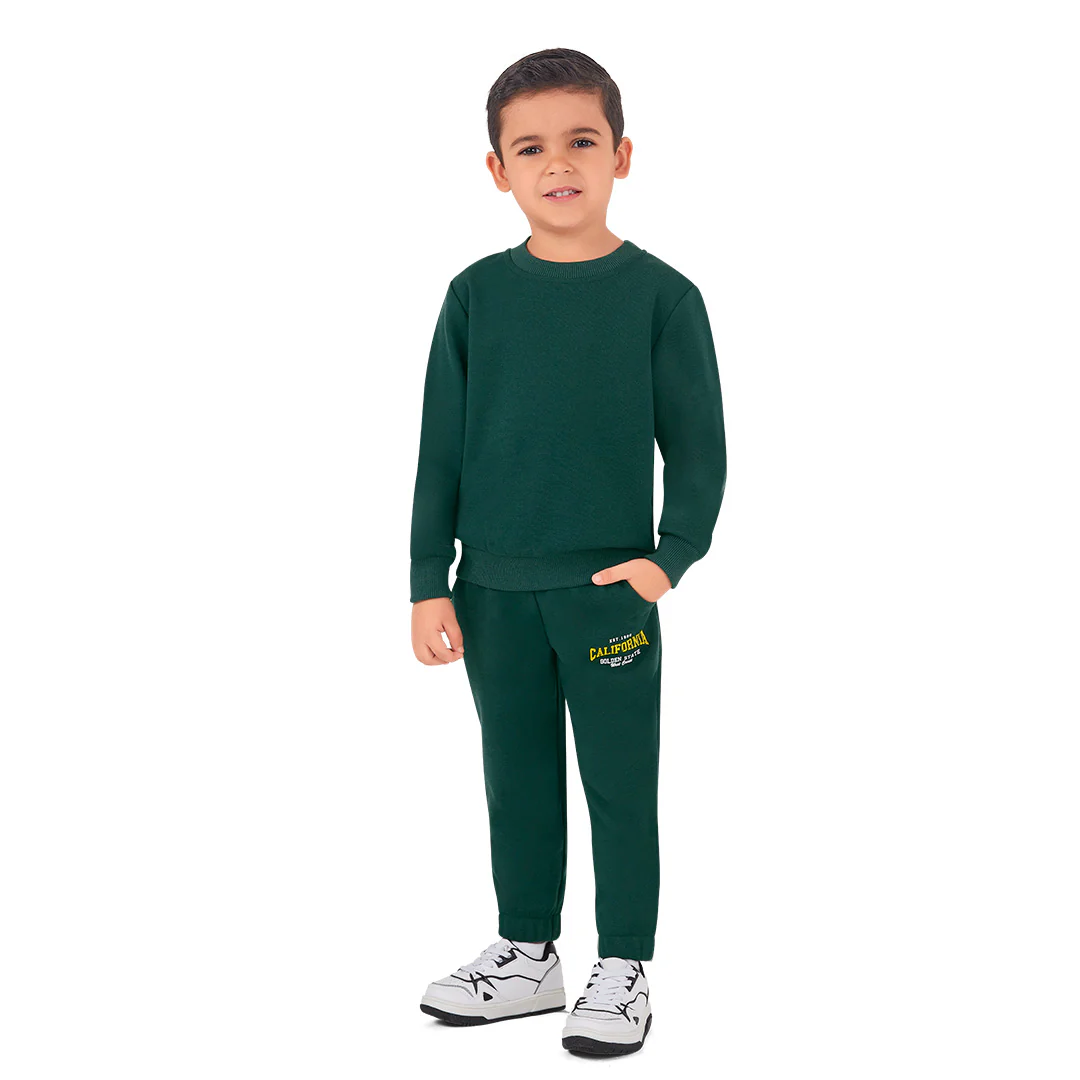 SUDADERA ESTAMPADA VERDE 96496